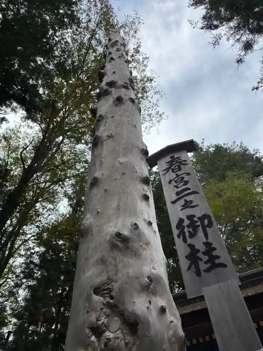 諏訪大社下社春宮(長野県)