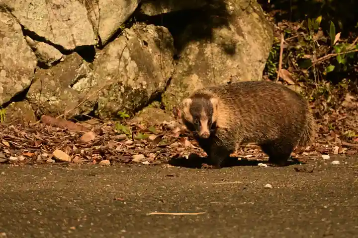 文殊仙寺(大分県)