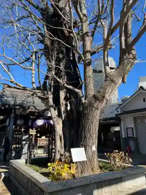 飛木稲荷神社(東京都)