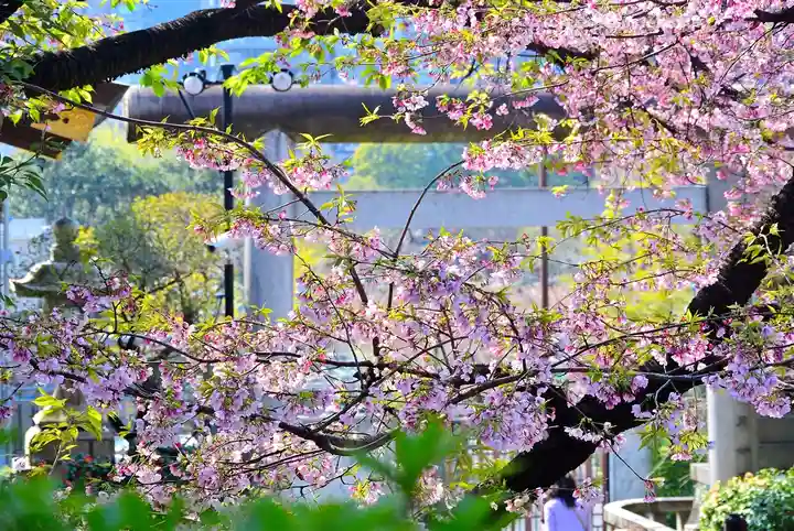 五條天神社の自然