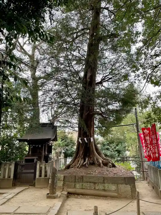 諏訪神社(東京都)