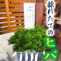 七重浜海津見神社(北海道)