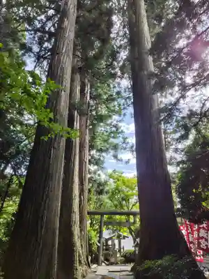 鹿島大神宮(福島県)