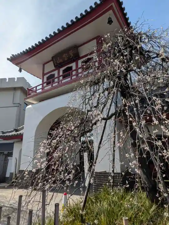 成願寺(東京都)