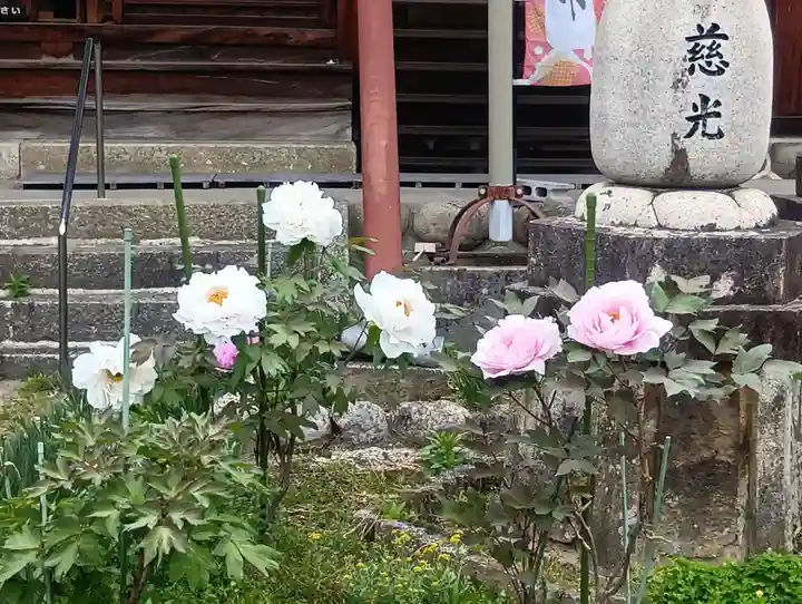 本覚寺(岐阜県)