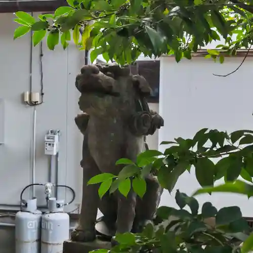 温泉熊野神社の狛犬