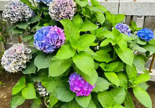 皆中稲荷神社(東京都)