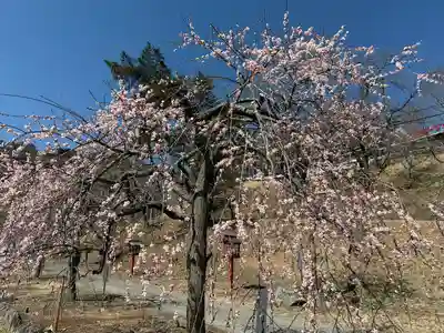 不動寺(埼玉県)