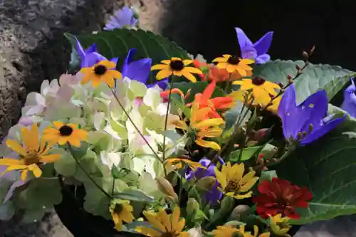 熊野福藏神社の手水舎