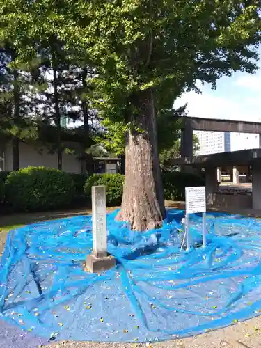 福井神社(福井県)