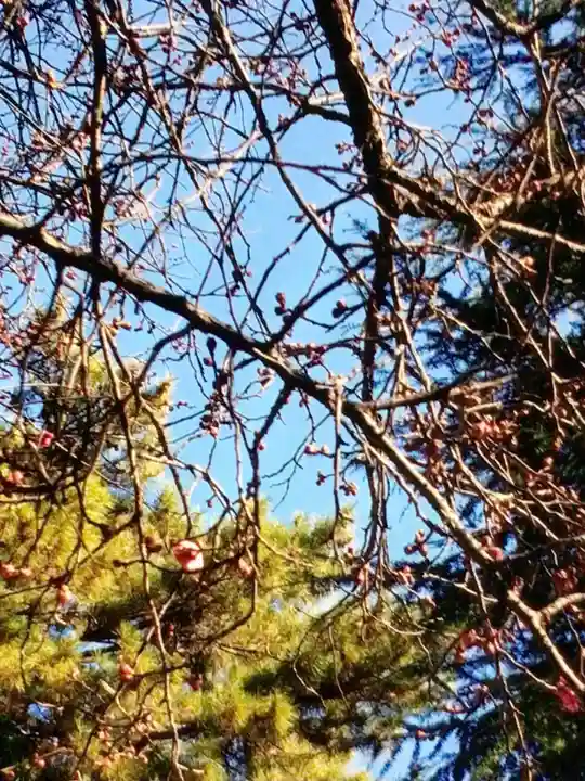 田端神社(東京都)