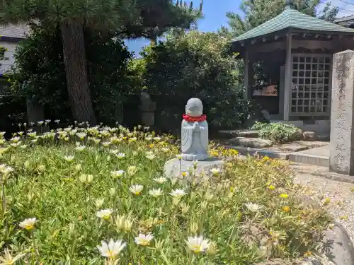 徳正寺(愛知県)