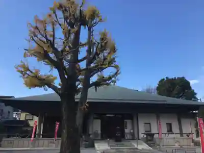 明治寺の本殿・本堂