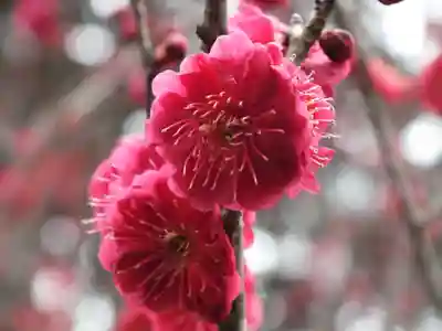 石山寺(滋賀県)