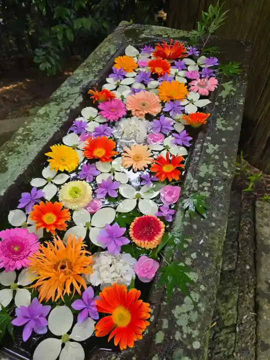 田間神社(千葉県)