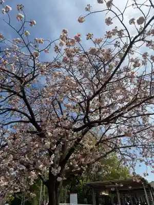 菊名池弁財天の{uncategorized: "未分類", other: "その他", undefined: "問題あり", building: "その他建物", grave: "お墓", sacred_gate: "鳥居", guardian: "狛犬", statue: "像", buddha: "仏像", history: "歴史", nature: "自然", garden: "庭園", animal: "動物", pagoda: "塔", temizu: "手水舎", mountain_gate: "山門・神門", sanctuary: "本殿・本堂", subordinate: "末社・摂社", art: "芸術", scenery: "景色", jizo: "地蔵", ema: "絵馬", goshuin: "御朱印", omikuji: "おみくじ", items: "授与品その他", amulet: "お守り", goshuincho: "御朱印帳", eats: "食事", festival: "お祭り", votive_dance: "神楽", shichigosan: "七五三参", wedding: "結婚式", experience: "体験その他", initially: "初詣", around: "周辺", anti_infection: "感染症対策"}