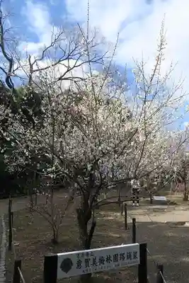 意賀美神社(大阪府)