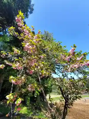 高司神社〜むすびの神の鎮まる社〜(福島県)