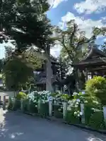 曹源寺(群馬県)