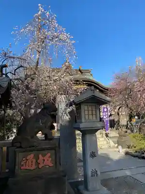 牛天神北野神社(東京都)