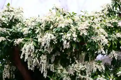 熊野福藏神社の庭園