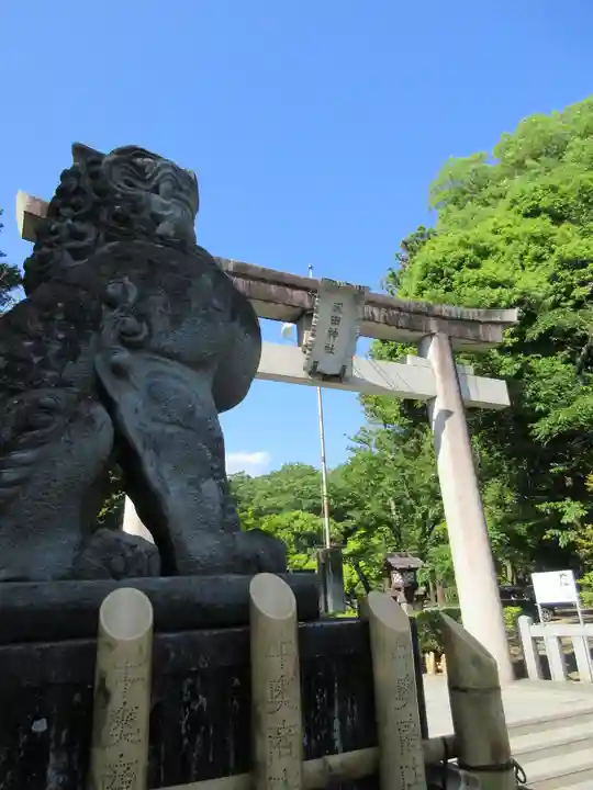 武田神社の狛犬