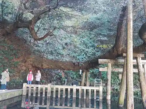 鹿島神宮(茨城県)