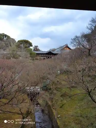 東福禅寺（東福寺）の自然