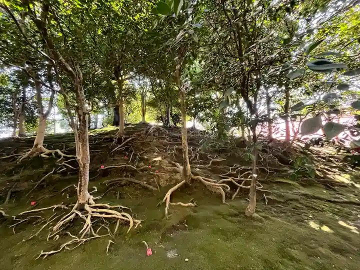 城南宮(京都府)