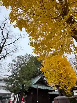 阿邪訶根神社(福島県)