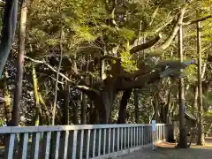 常陸第三宮　吉田神社(茨城県)