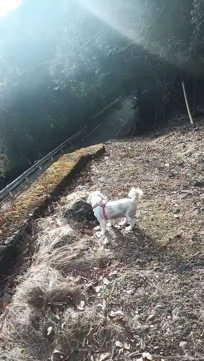 徳楽寺(山梨県)