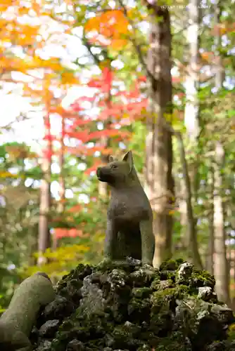 三峯神社の狛犬