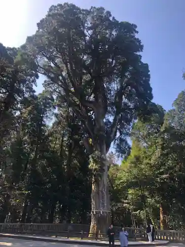 霧島神宮(鹿児島県)
