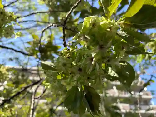 出会い不動の{uncategorized: "未分類", other: "その他", undefined: "問題あり", building: "その他建物", grave: "お墓", sacred_gate: "鳥居", guardian: "狛犬", statue: "像", buddha: "仏像", history: "歴史", nature: "自然", garden: "庭園", animal: "動物", pagoda: "塔", temizu: "手水舎", mountain_gate: "山門・神門", sanctuary: "本殿・本堂", subordinate: "末社・摂社", art: "芸術", scenery: "景色", jizo: "地蔵", ema: "絵馬", goshuin: "御朱印", omikuji: "おみくじ", items: "授与品その他", amulet: "お守り", goshuincho: "御朱印帳", eats: "食事", festival: "お祭り", votive_dance: "神楽", shichigosan: "七五三参", wedding: "結婚式", experience: "体験その他", initially: "初詣", around: "周辺", anti_infection: "感染症対策"}