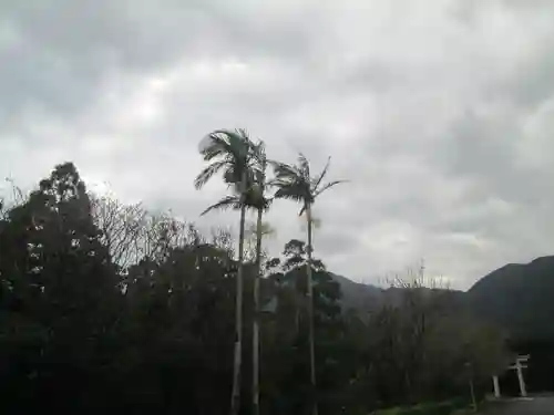 屋久島大社の自然