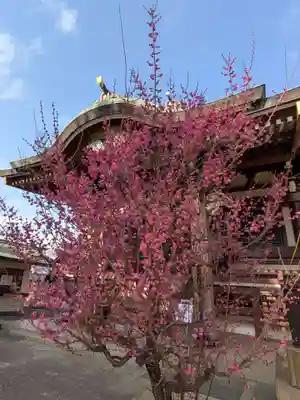 諏訪神社(東京都)