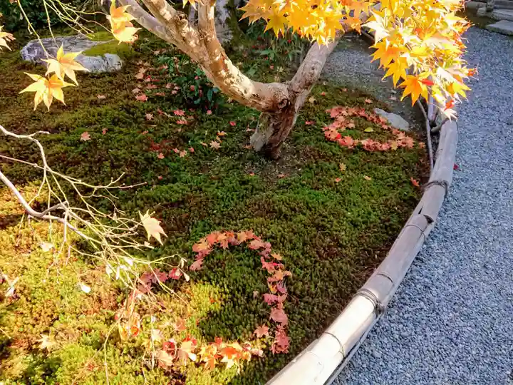 二尊院(京都府)