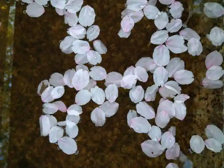 法輪寺の手水舎