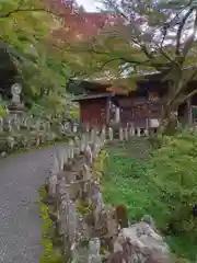 真福寺(埼玉県)