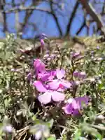 厚別神社の自然