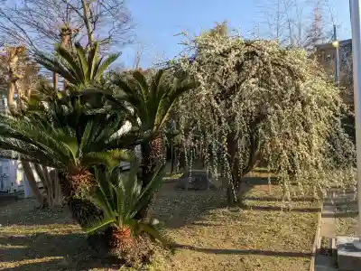 日置八幡宮の{uncategorized: "未分類", other: "その他", undefined: "問題あり", building: "その他建物", grave: "お墓", sacred_gate: "鳥居", guardian: "狛犬", statue: "像", buddha: "仏像", history: "歴史", nature: "自然", garden: "庭園", animal: "動物", pagoda: "塔", temizu: "手水舎", mountain_gate: "山門・神門", sanctuary: "本殿・本堂", subordinate: "末社・摂社", art: "芸術", scenery: "景色", jizo: "地蔵", ema: "絵馬", goshuin: "御朱印", omikuji: "おみくじ", items: "授与品その他", amulet: "お守り", goshuincho: "御朱印帳", eats: "食事", festival: "お祭り", votive_dance: "神楽", shichigosan: "七五三参", wedding: "結婚式", experience: "体験その他", initially: "初詣", around: "周辺", anti_infection: "感染症対策"}