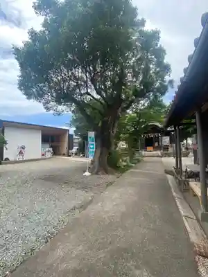 射箭頭八幡神社(和歌山県)