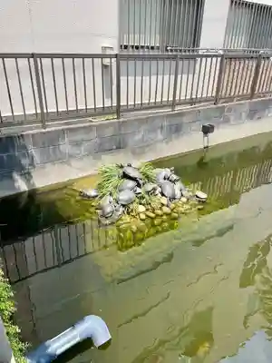 嚴島神社(千葉県)