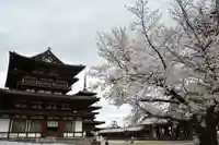 薬師寺(奈良県)