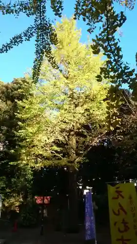 渋谷氷川神社(東京都)