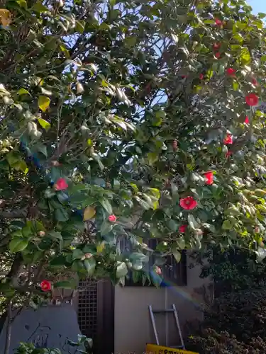 新善光寺の自然