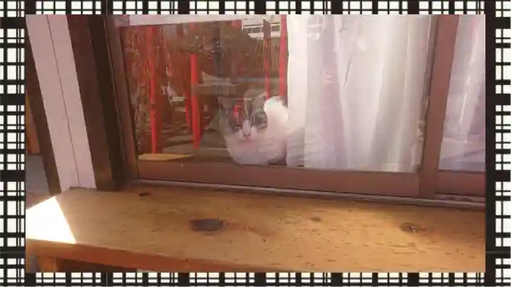 於菊稲荷神社(群馬県)