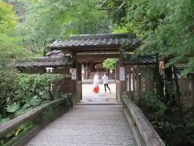 宇治上神社の山門・神門