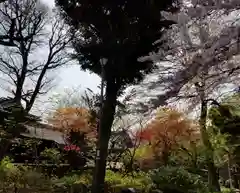 白山神社の自然